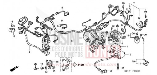 FAISCEAU DES FILS (1) ANF1255 de 2005